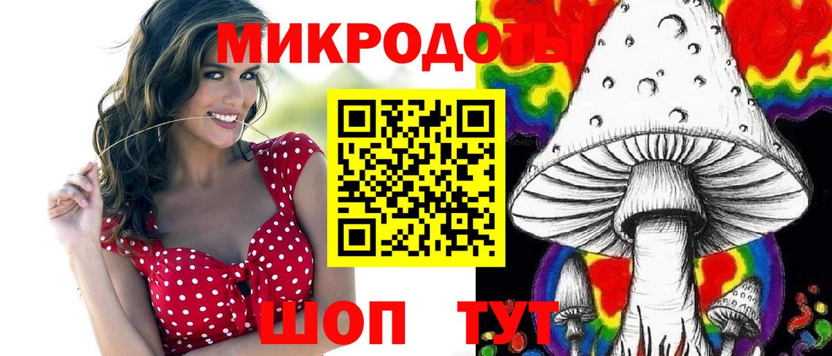 Псилоцибиновые грибы Psilocybe Карпинск