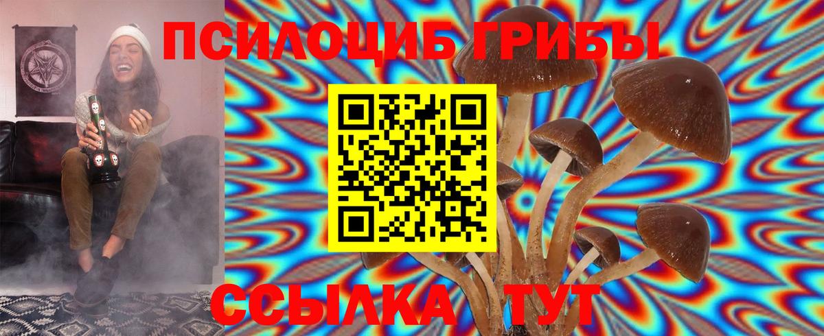 Псилоцибиновые грибы Psilocybe  Вход с VPN  цена   Карпинск 
